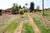 Terreno, 4 hectares - Foto 2