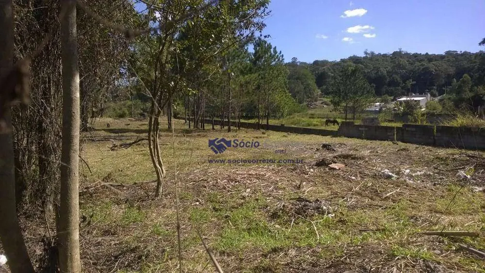 Terreno, 1500 m² - Foto 9