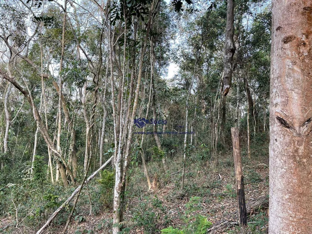 Terreno à venda, 9500M2 - Foto 2