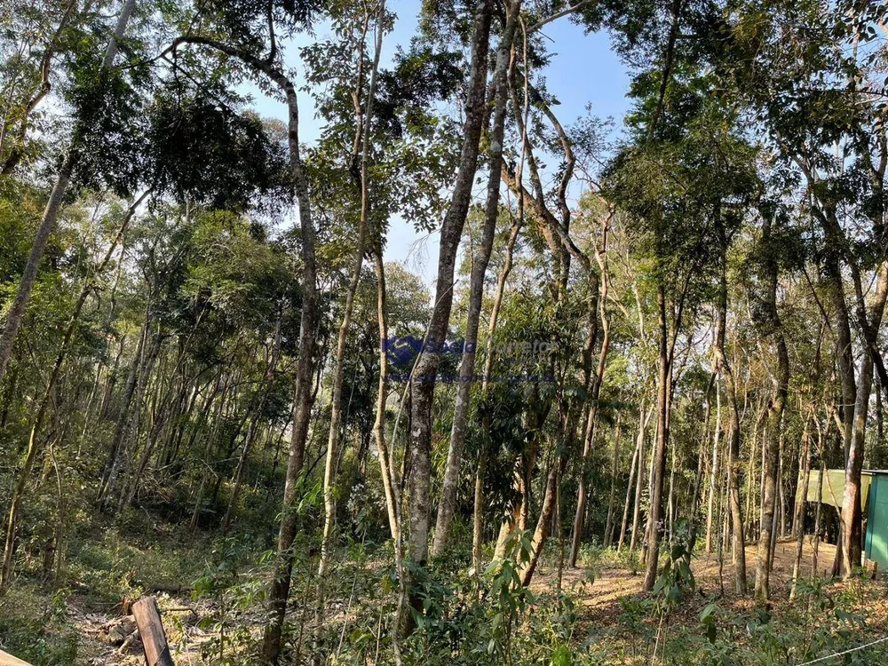 Terreno à venda, 9500M2 - Foto 5