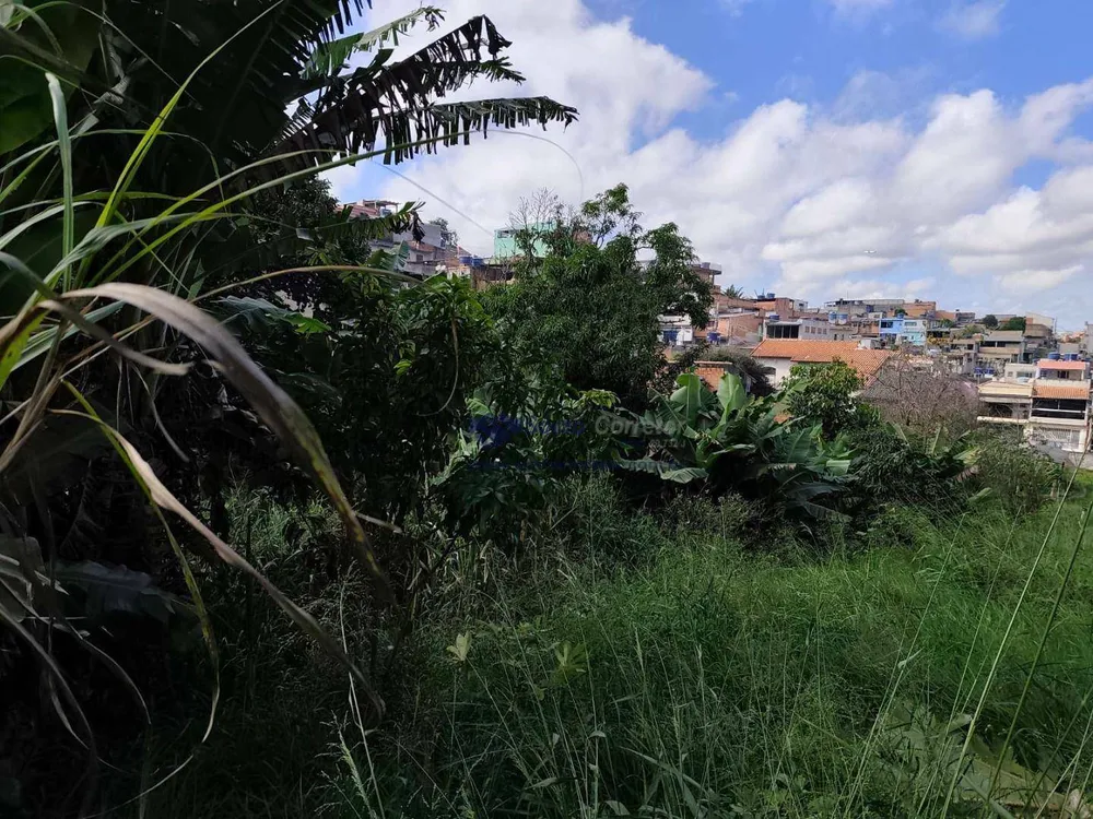 Terreno, 1540 m² - Foto 13