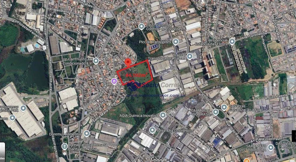 Terreno, 4 hectares - Foto 12
