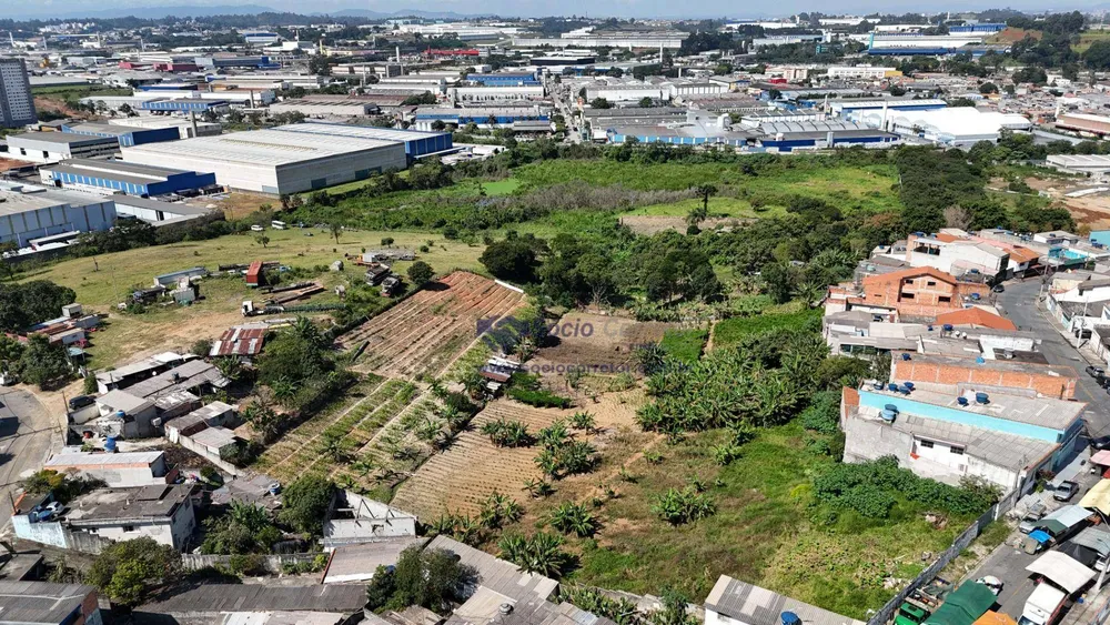 Terreno, 4 hectares - Foto 6