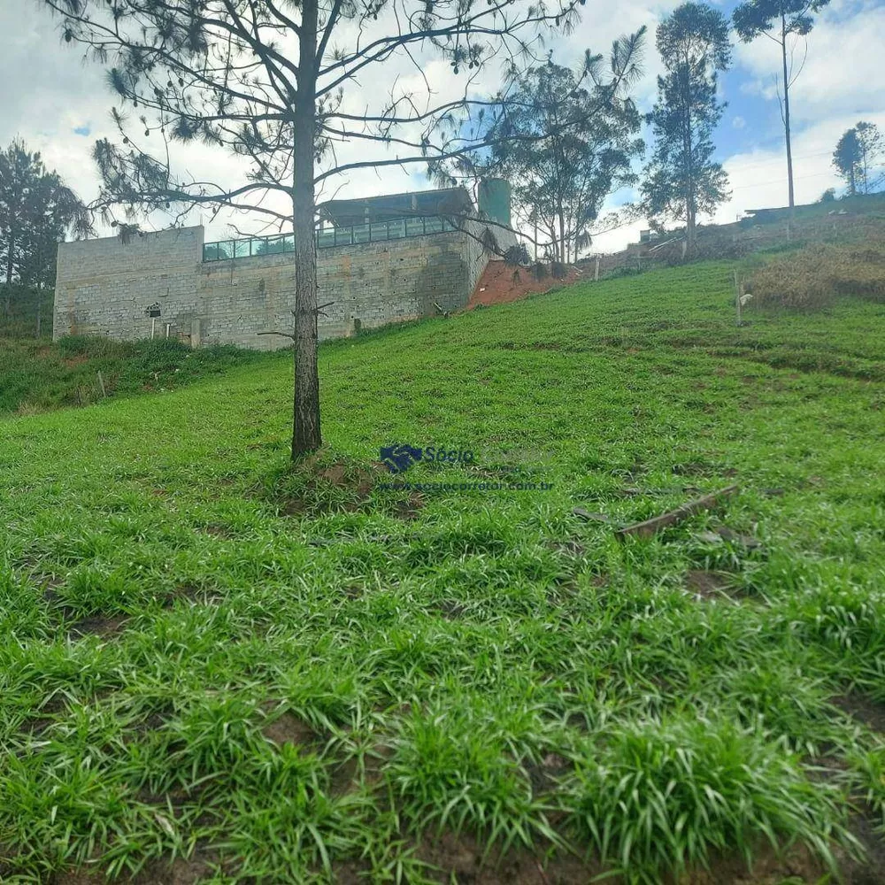 Terreno à venda, 3000M2 - Foto 2