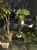 Apartamento, 3 quartos, 105 m² - Foto 11