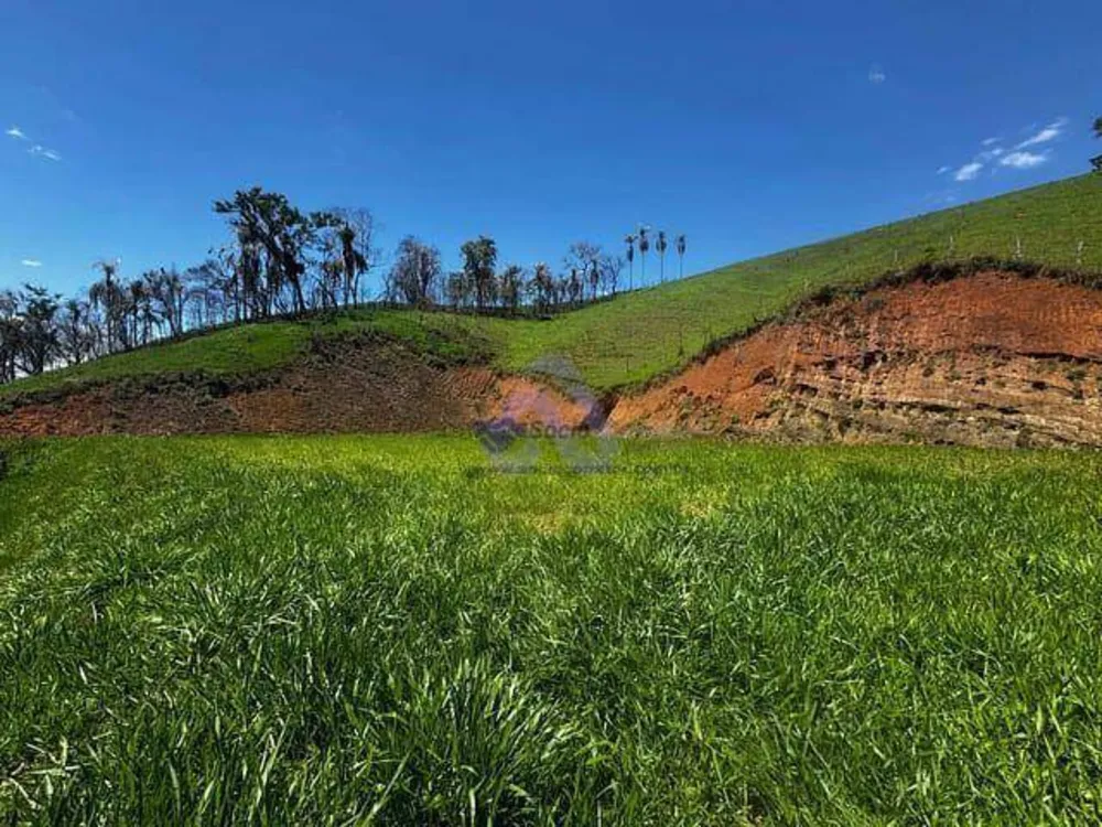 Depósito-Galpão, 1000 m² - Foto 14