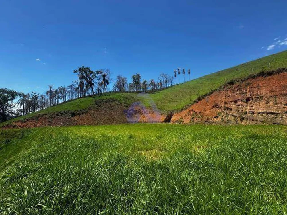 Depósito-Galpão, 1000 m² - Foto 16