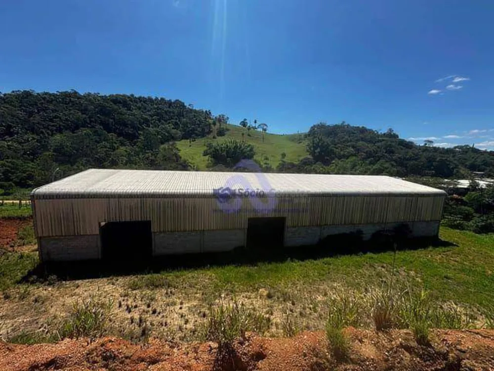 Depósito-Galpão, 1000 m² - Foto 12