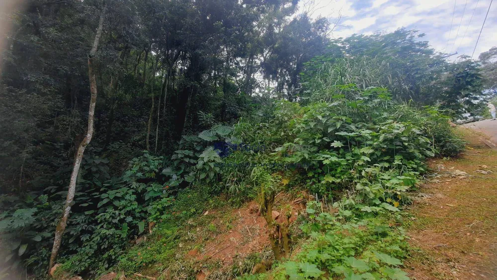 Loteamento e Condomínio, 1250 m² - Foto 3