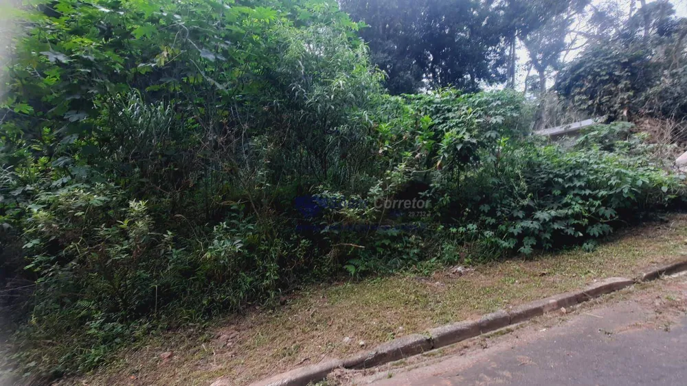 Loteamento e Condomínio, 1250 m² - Foto 2