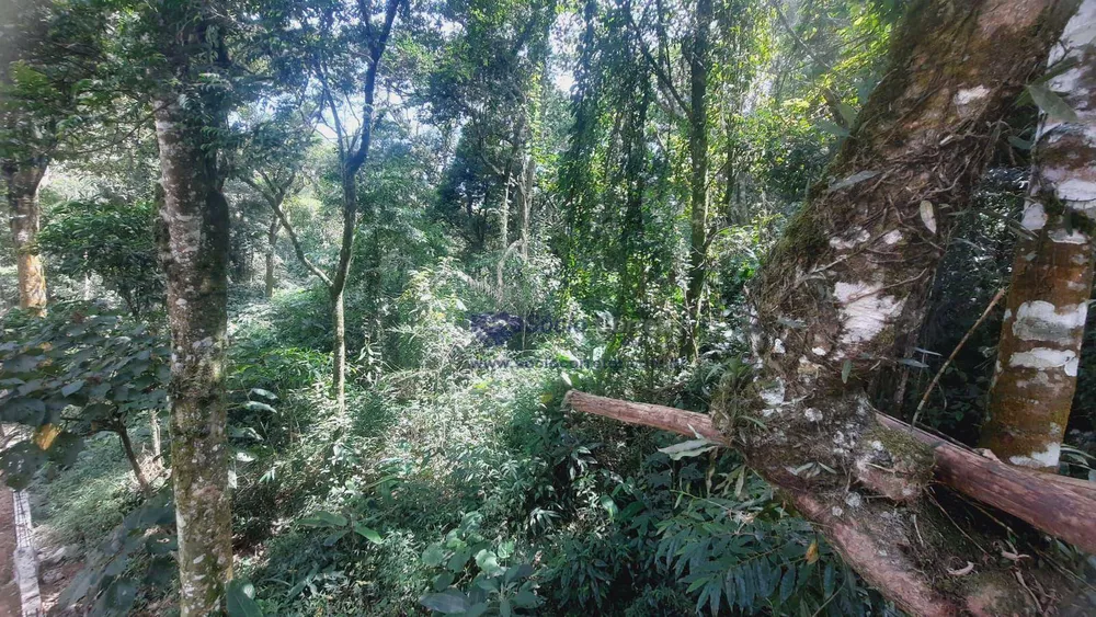 Loteamento e Condomínio, 1250 m² - Foto 8