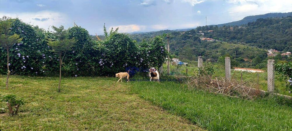 Chácara, 1 quarto, 2800 m² - Foto 12