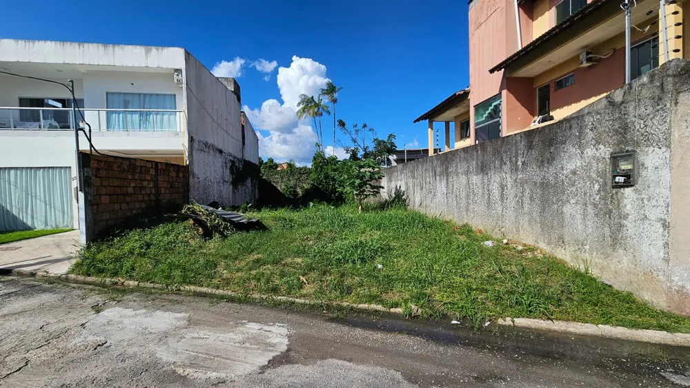 Terreno, 300 m² - Foto 3
