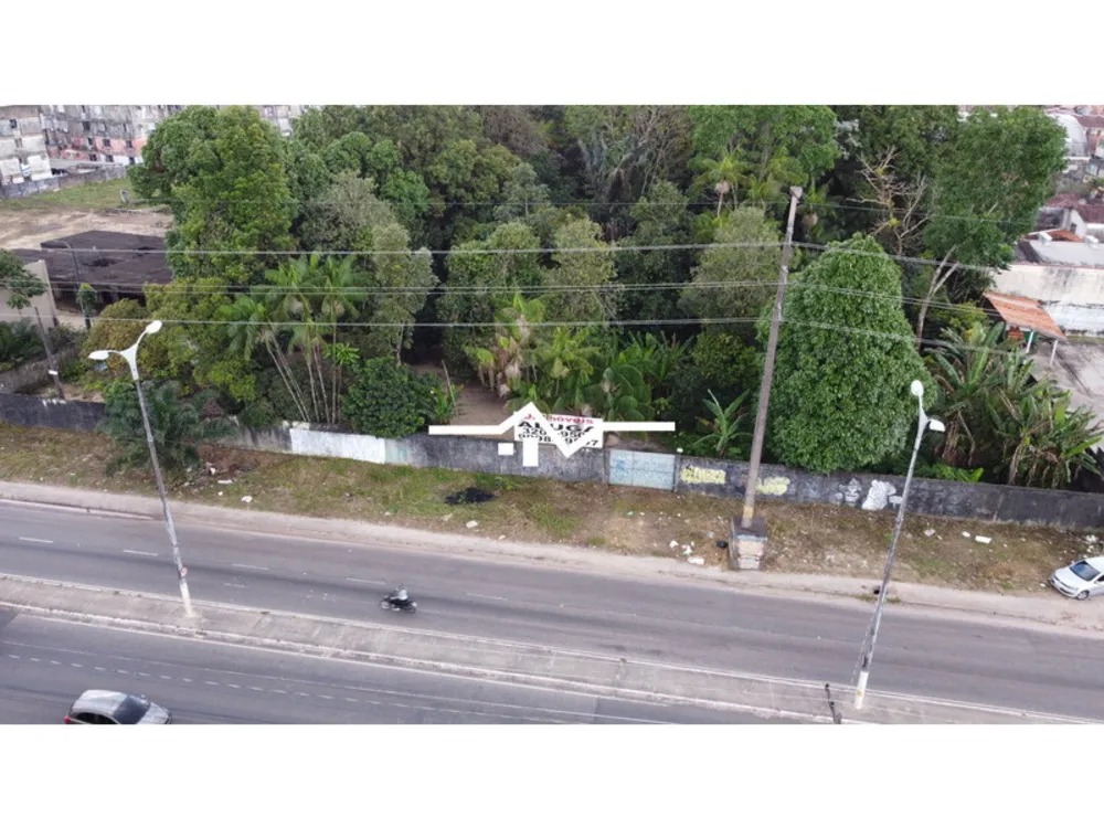 Terreno, 2 hectares - Foto 1