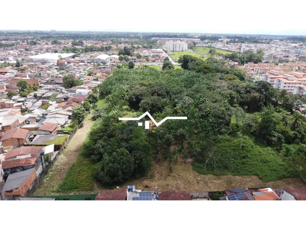 Terreno, 5 hectares - Foto 4