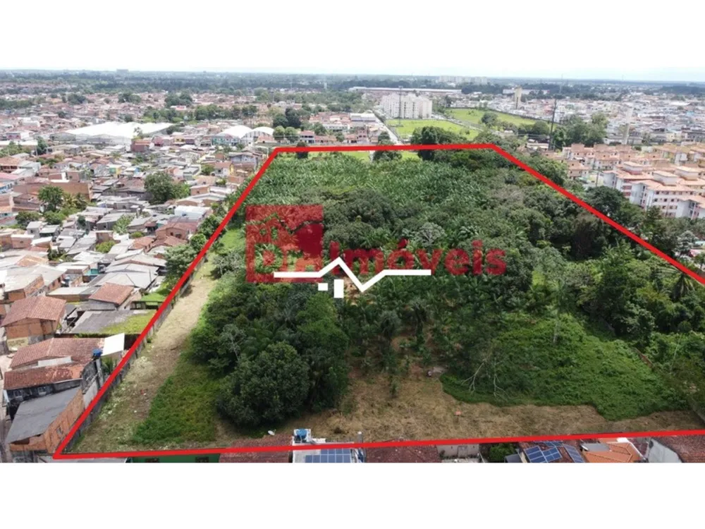 Terreno, 5 hectares - Foto 3