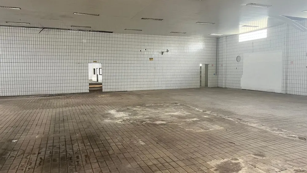 Depósito-Galpão, 13170 m² - Foto 7