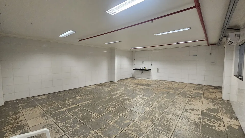 Depósito-Galpão, 10000 m² - Foto 5