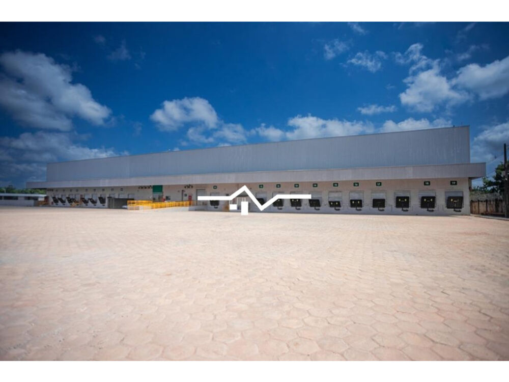 Depósito-Galpão, 12000 m² - Foto 4