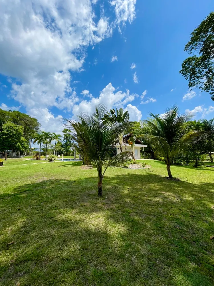 Casa, 5 quartos, 20000 m² - Foto 12