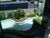 Prédio Inteiro, 60 m² - Foto 6