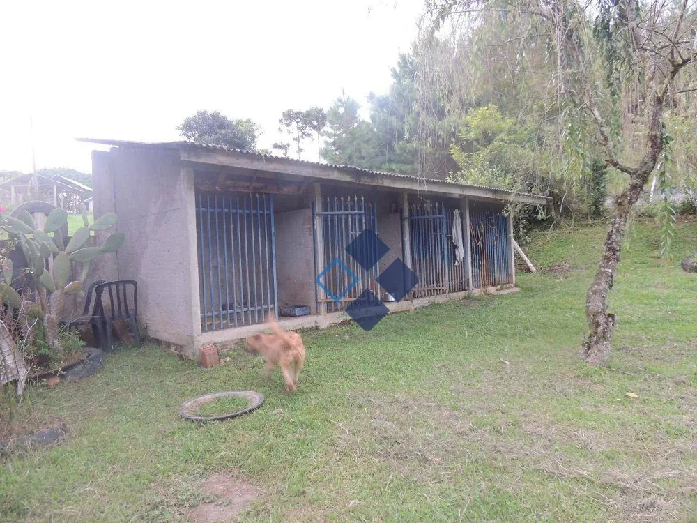 Chácara, 4 quartos, 5522 m² - Foto 7