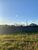 Terreno, 5111 m² - Foto 8