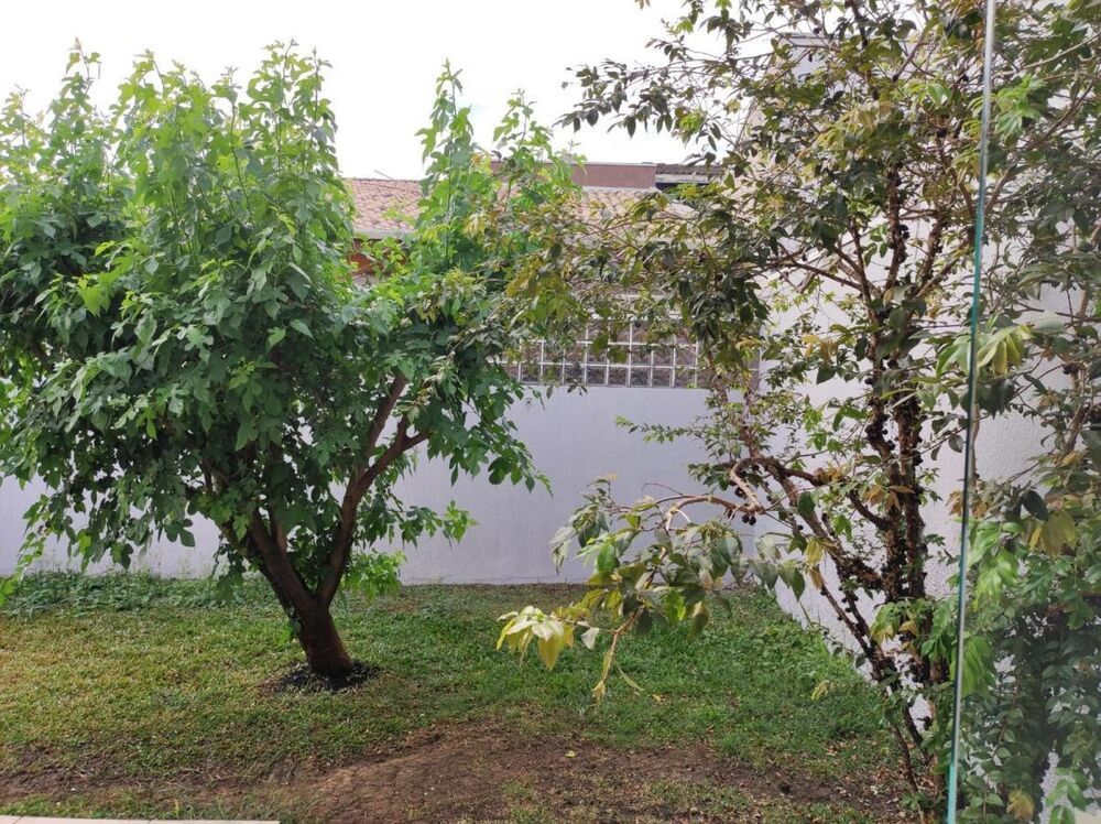Casa de Condomínio para alugar com 3 quartos, 145m² - Foto 10