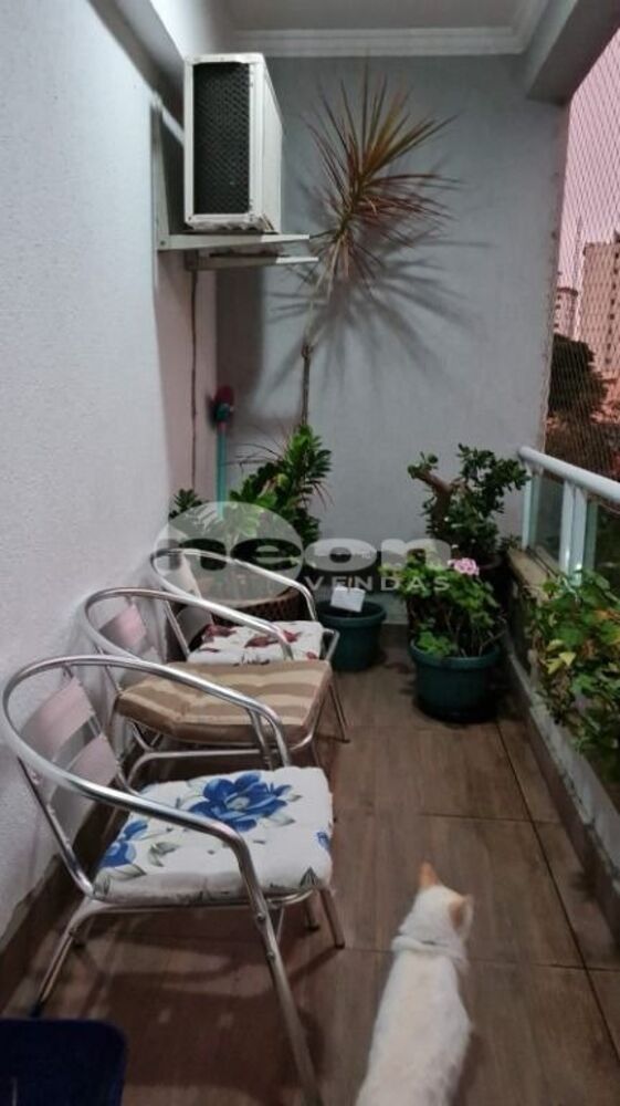 Casa, 3 quartos, 276 m² - Foto 2