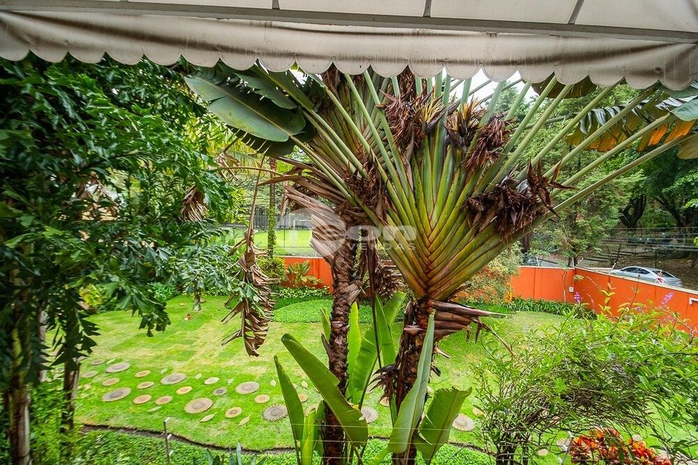Casa, 3 quartos, 335 m² - Foto 6