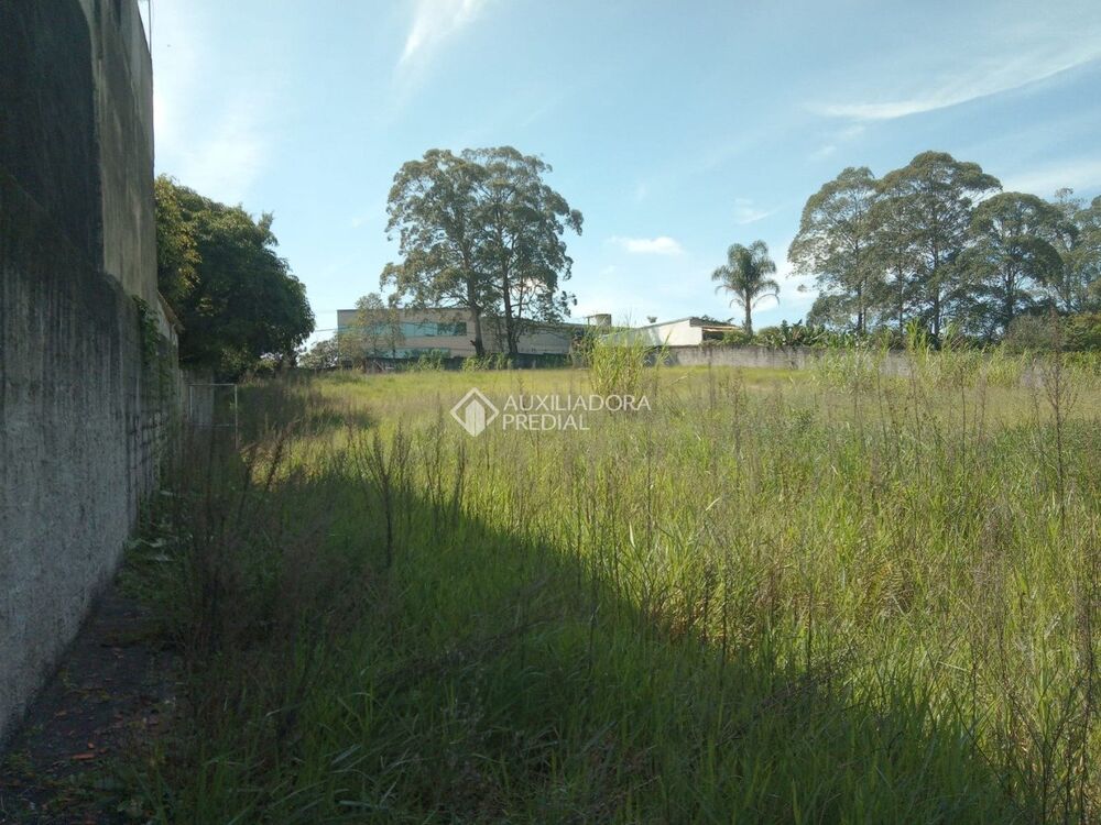 Terreno, 1 hectares - Foto 3