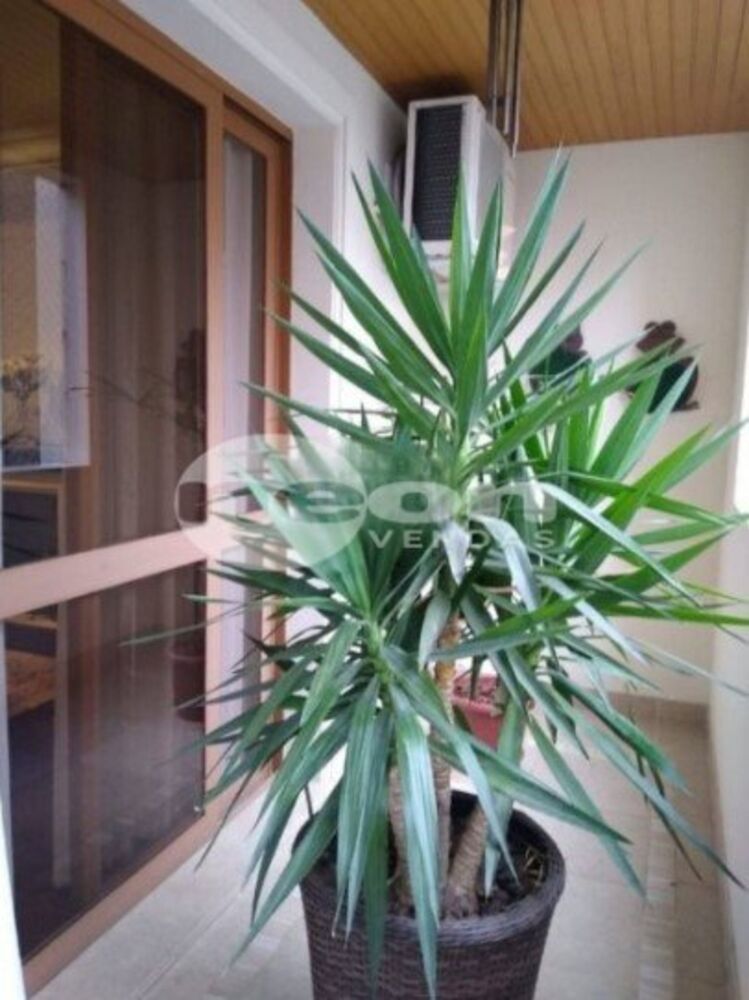 Apartamento, 4 quartos, 260 m² - Foto 1