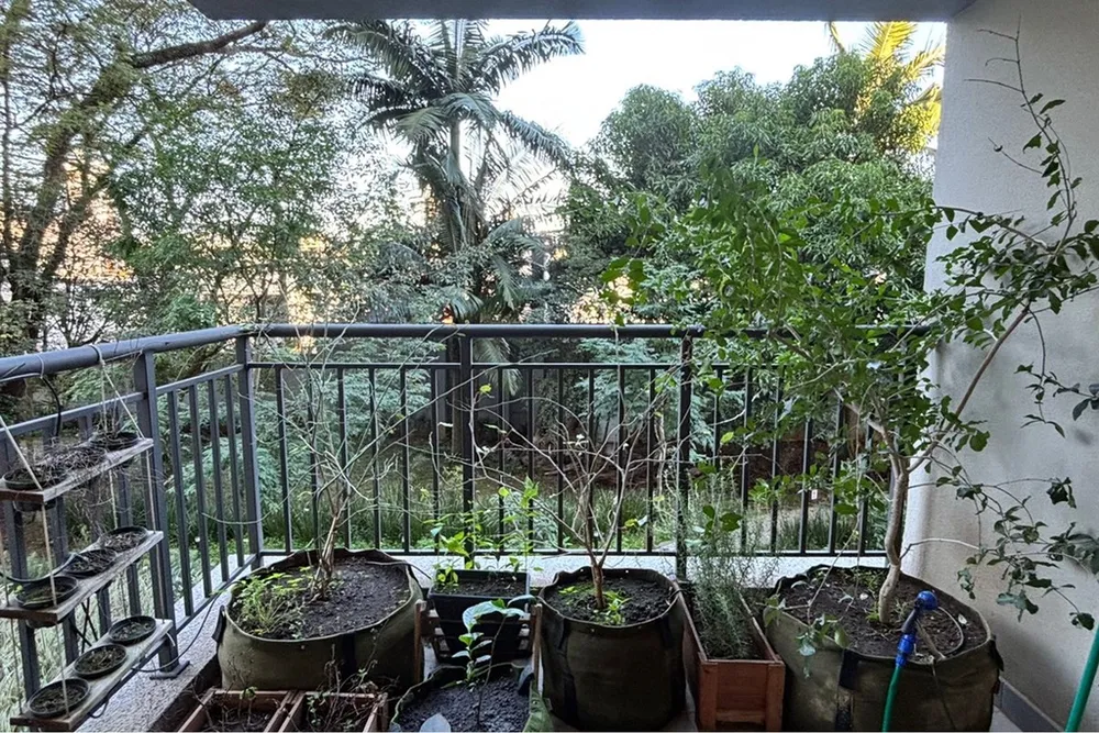 Apartamento, 2 quartos, 66 m² - Foto 3