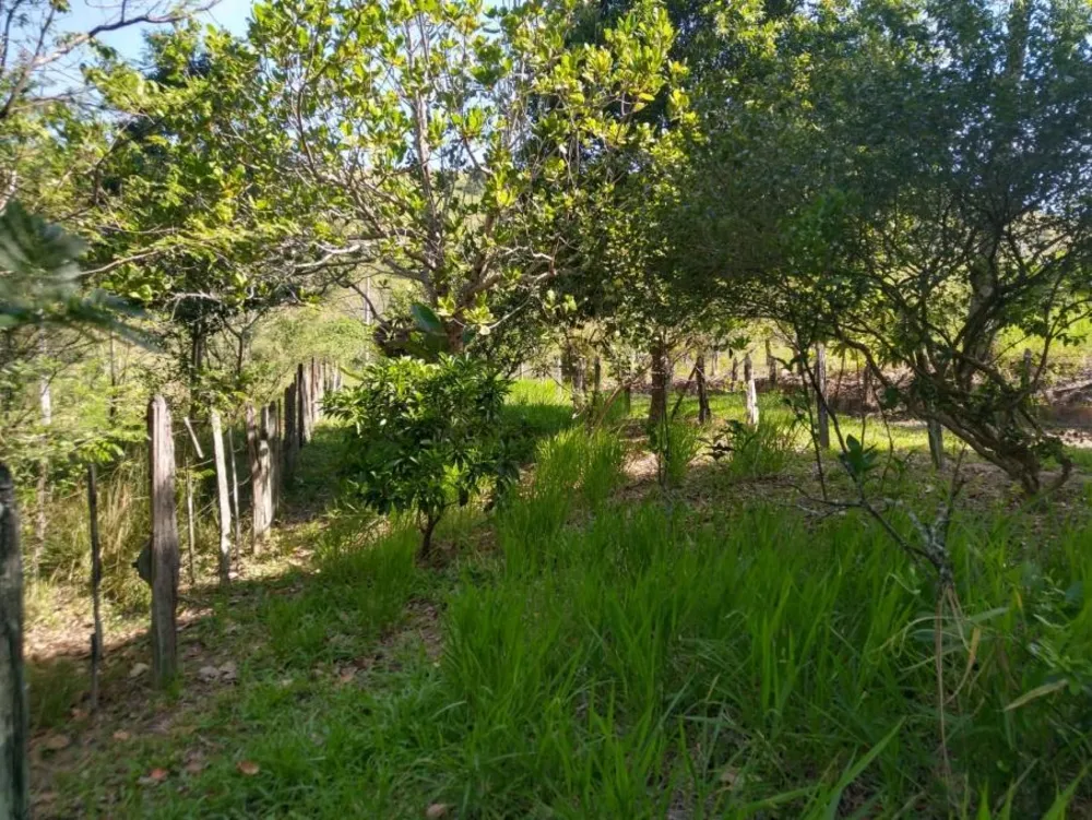 Sítio, 2 hectares - Foto 14