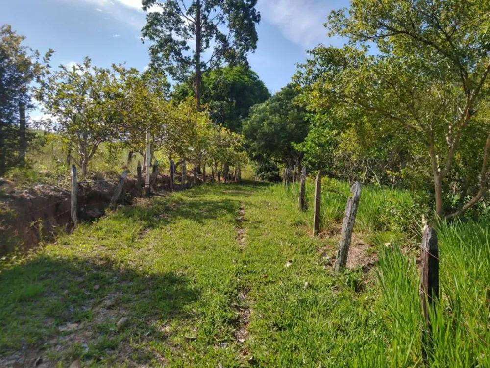 Sítio, 2 hectares - Foto 7