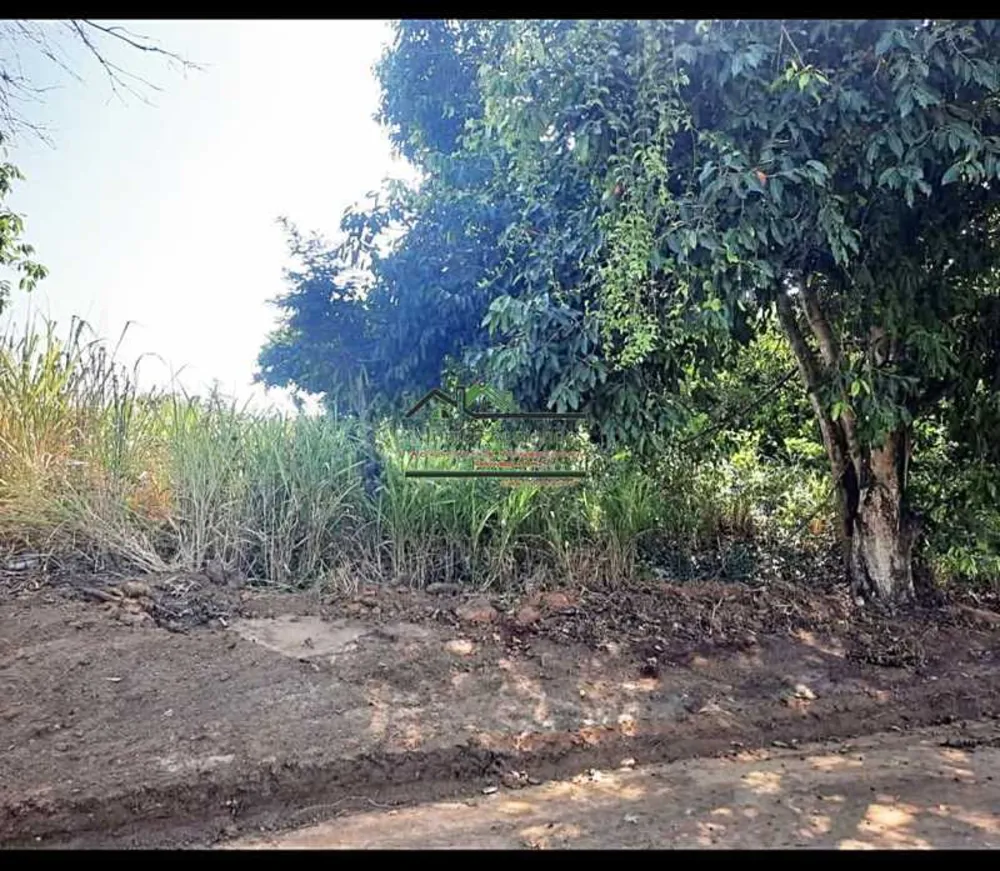 Terreno - Foto 2