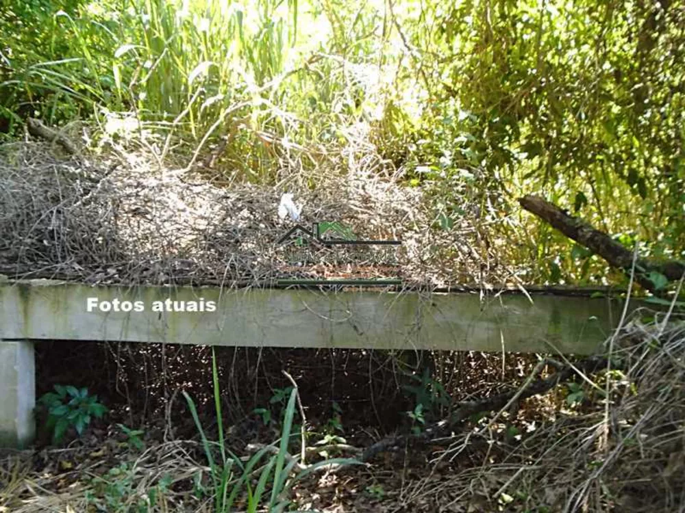 Terreno, 528 m² - Foto 23