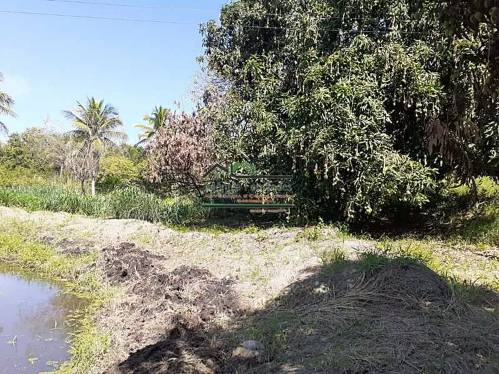 Sítio, 2 quartos, 2 hectares - Foto 7