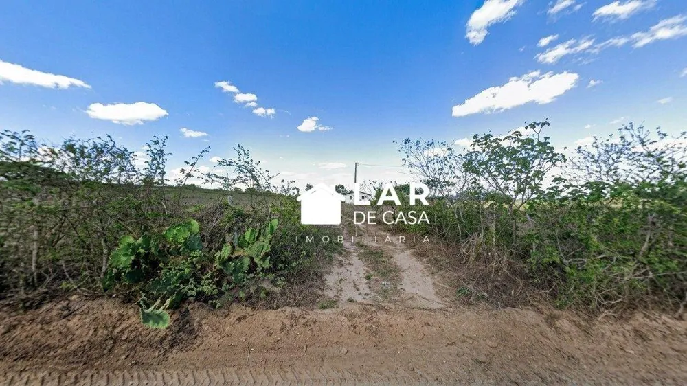 Sítio, 6 hectares - Foto 2