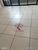 Sala-Conjunto, 33 m² - Foto 3