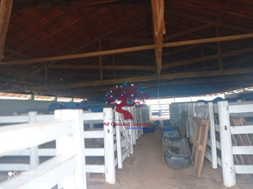 Fazenda, 1000 m² - Foto 2