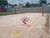 Terreno, 500 m² - Foto 4