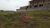 Terreno, 1000 m² - Foto 1