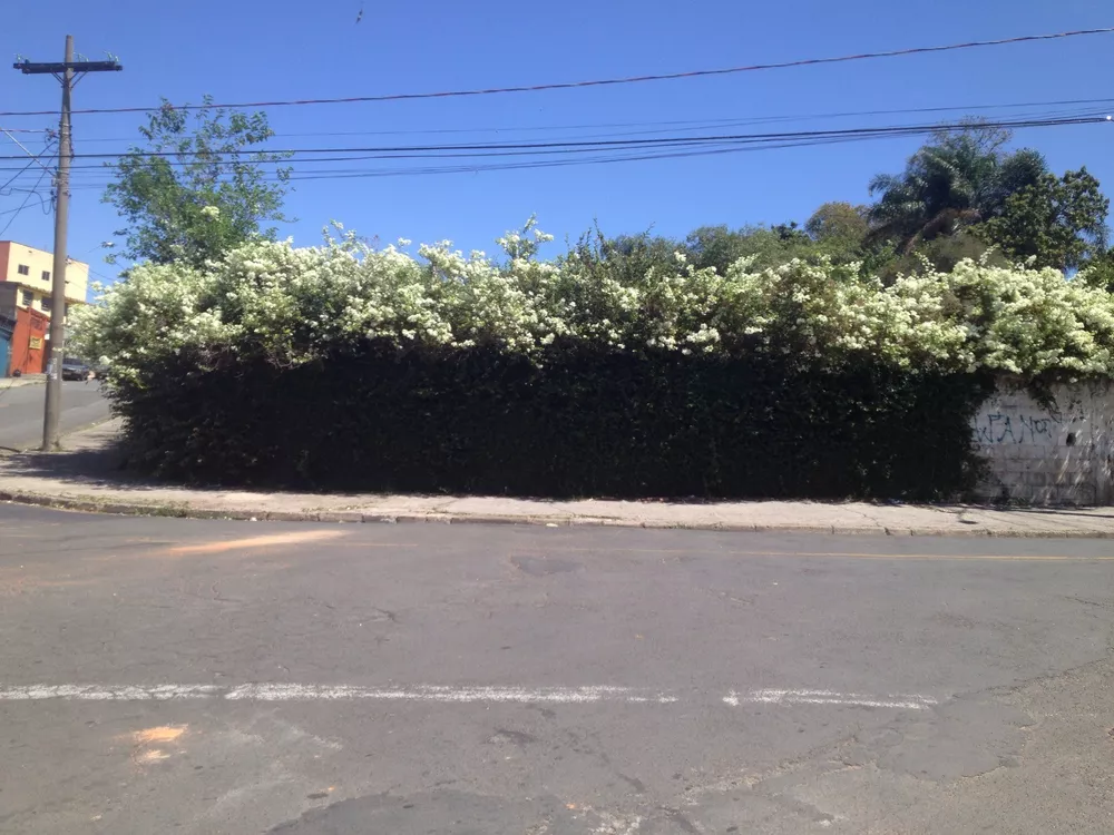 Loteamento e Condomínio - Foto 1