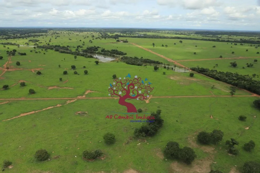 Fazenda, 2120 hectares - Foto 1