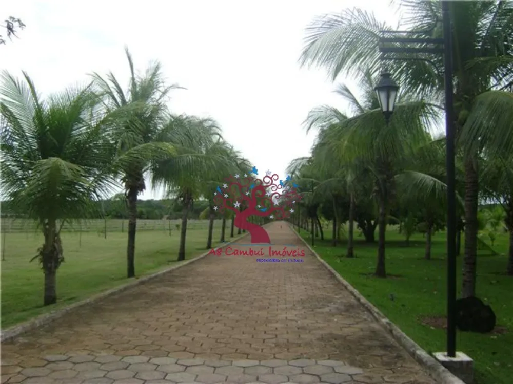 Fazenda, 2120 hectares - Foto 4