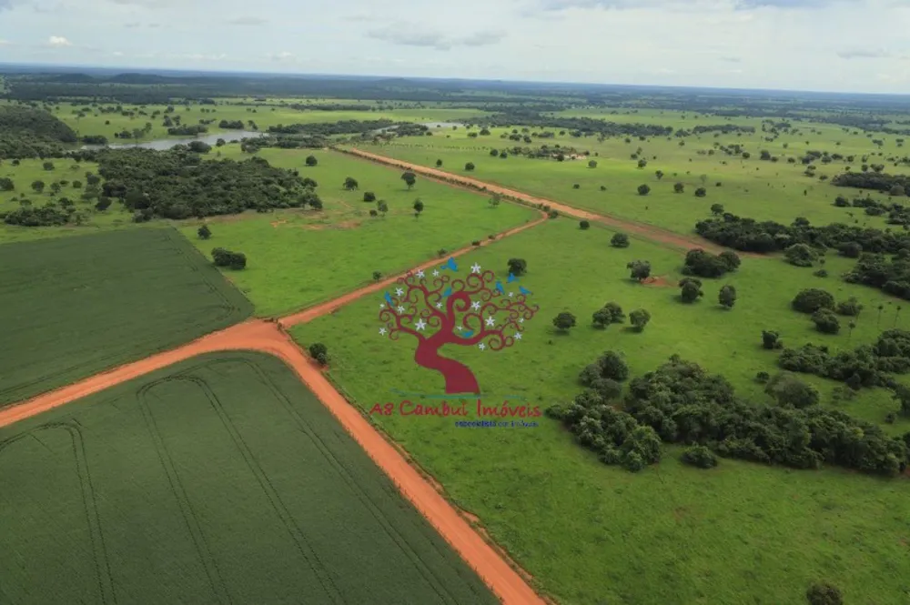 Fazenda, 2120 hectares - Foto 3