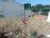 Terreno, 362 m² - Foto 3