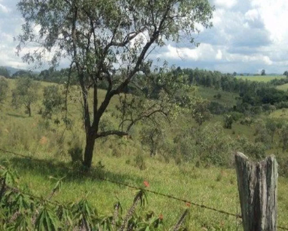 Terreno à venda, 47000m² - Foto 2