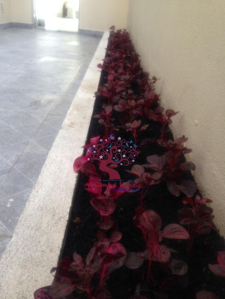 Prédio Inteiro, 280 m² - Foto 8